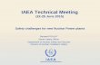 IAEA Technical Meeting