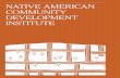 Native American Community Development Institute Case Study