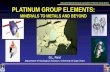 PLATINUM GROUP ELEMENTS - NSTF