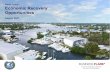 Martin County Economic Recovery Opportunities