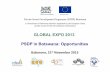 GLOBAL EXPO 2013 PSDP in Botswana: Opportunities