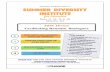 Summer diversity Institute - iChange Collaborative