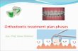 Orthodontic treatment plan phases