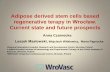 Adipose derived stem cells based regenerative terapy in ...