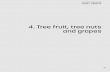4. Tree fruit, tree nuts and grapes