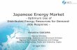 Japanese Energy Market