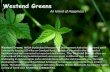 An Island of Happiness - Westend Greens