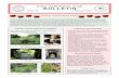 BULLETIN - Hove Gardening Club