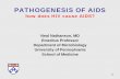 PATHOGENESIS OF AIDS how does HIV cause AIDS?