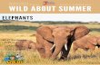 Copy of Wild About Summer Template