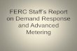 FERC Staff’s Report
