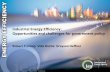 Industrial Energy Efficiency: Opportunities and challenges ...