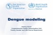 Dengue Modeling Andrea Vicari 2014-892 - PAHO/WHO