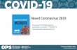 Novel Coronavirus 2019 - bvsalud.org