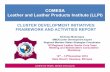 COMESA Leather and Leather Products Institute (LLPI)