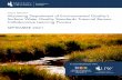 FINAL REPORT Wyoming Department of Environmental Quality’s ...
