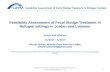 Feasibility Assessment of Fecal Sludge Treatment in ...