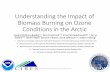 Understanding the Impact of Biomass Burning on Ozone ...