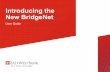 Introducing the New BridgeNet