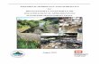 APPENDIX B: HYDROLOGY AND HYDRAULICS for RIO …