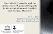 Blue Shield Australia and the protection of Cultural ...