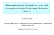 Bioremediation of Groundwater and Soil Contaminated with ...