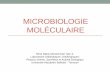 MICROBIOLOGIE MOLÉCULAIRE