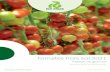 Tomates hors sol 2021 - Rijk Zwaan