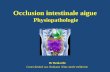 Physiopathologie de l’occlusion intestinale aigue