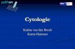 Cytologie - Pathan