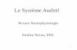 Le Système Auditif - drpneveu.free.fr