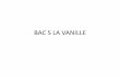 BAC S LA VANILLE - pcpagnol.free.fr