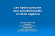 Les hydrocarbures non conventionnels en droit algérien