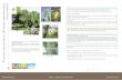 Petits Arbres - Page 277 CAUE 77 - Arboretum de la Petite ...