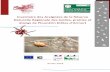 Inventaire des Araignées de la Réserve Naturelle Régionale ...
