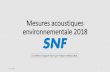 Mesures acoustiques environnemental 2018 - Loire