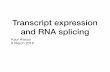 Transcript expression and RNA splicing