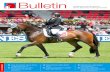Bulletin Sports équestres et élevage chevalin