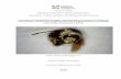 Evaluación de la patogenicidad de hongos entomopatógenos ...
