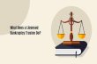 What Does a Licensed Bankruptcy Trustee Do?