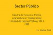 Sector Público - rephip.unr.edu.ar