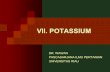 VII. POTASSIUM - unri.ac.id