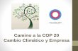 Camino a la COP 20 Cambio Climático y Empresa