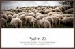 Psalm 23 - SnapPages