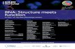 RNA: Structure meets function - meetings.embo.org