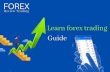 A Step by Step Guide to learn Forex Trading