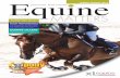 SPRING EDITION 2013 Equine - XLVets