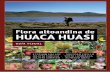 Flora altoandina de HUACA HUASI