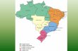 A Rede Ecovida e os Sistemas - centroecologico.org.br