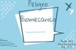 Peligro Biomecanico - Red Virtual educativa